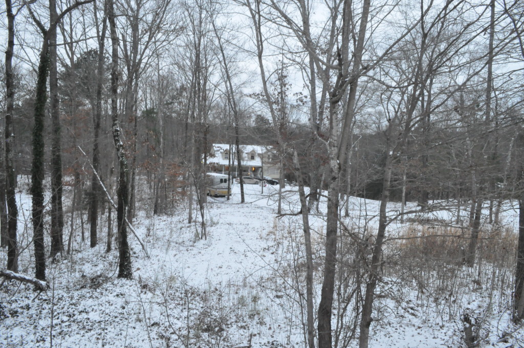 DSC_0018